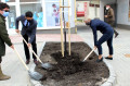 Parkoló átadás és faültetés a Föld Napján