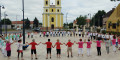 Flashmob, Múzeumok Éjszakája