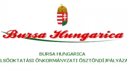 bursa