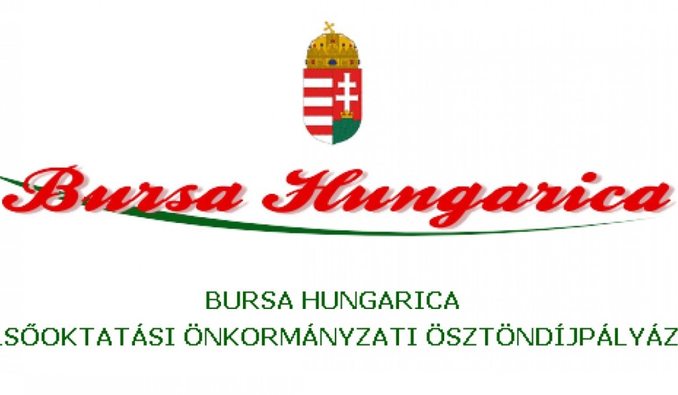 bursa