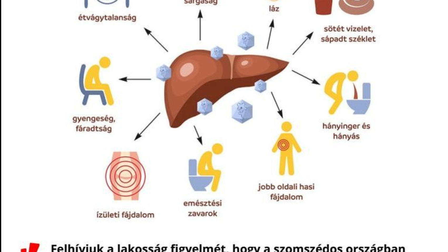 hepatis_a